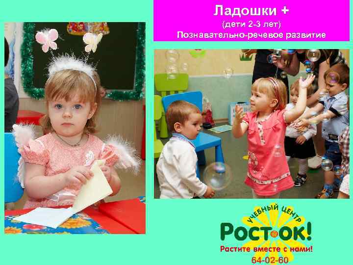 Ладошки + (дети 2 -3 лет) Познавательно-речевое развитие 