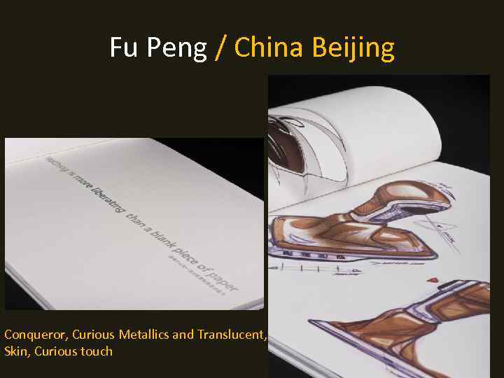 Fu Peng / China Beijing Conqueror, Curious Metallics and Translucent, Skin, Curious touch 