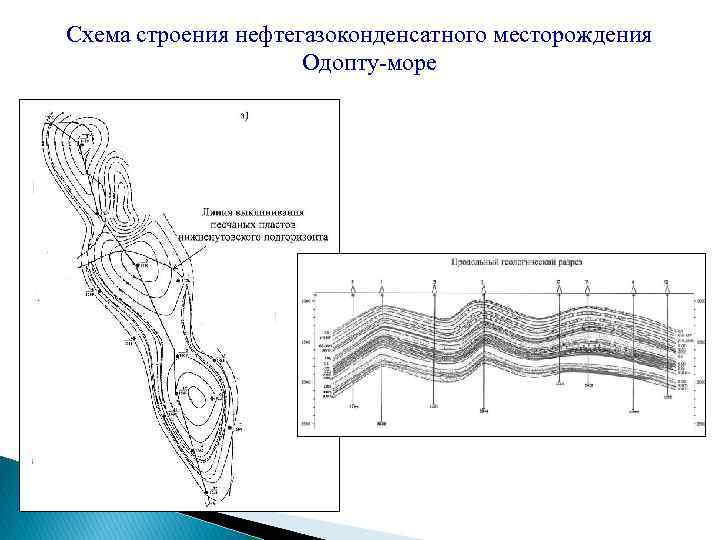 Схема строения нефтегазоконденсатного месторождения Одопту море 