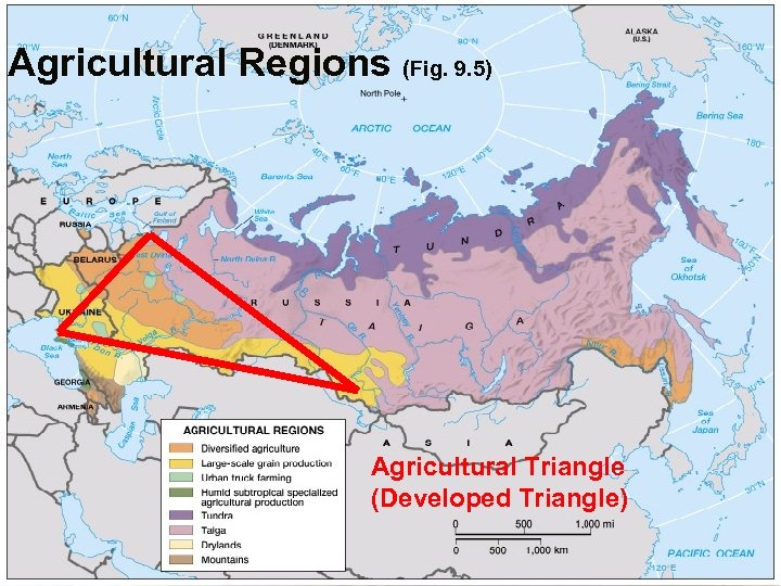 Agricultural Regions (Fig. 9. 5) Agricultural Triangle (Developed Triangle) Globalization & Diversity: Rowntree, Lewis,