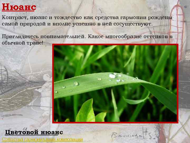 Нюанс Контраст, нюанс и тождество как средства гармонии рождены самой природой и вполне успешно