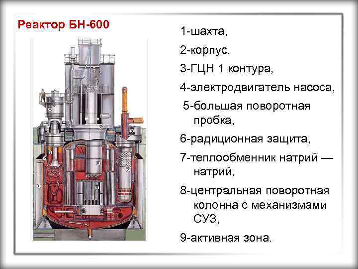 Реактор БН-600 1 -шахта, 2 -корпус, 3 -ГЦН 1 контура, 4 -электродвигатель насоса, 5