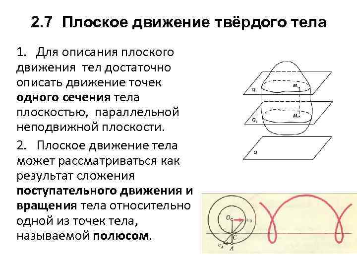 Укажите какие плоскости организма изображены на рисунке