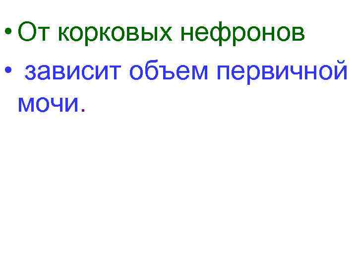  • От корковых нефронов • зависит объем первичной мочи. 