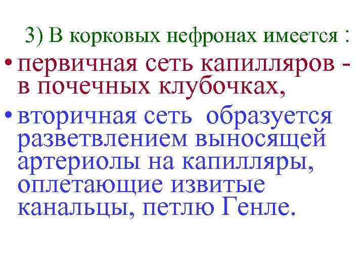 3) В корковых нефронах имеется : • первичная сеть капилляров в почечных клубочках, •