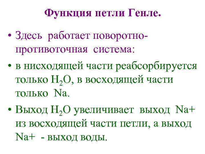 Функция петли Генле. • Здесь работает поворотнопротивоточная система: • в нисходящей части реабсорбируется только
