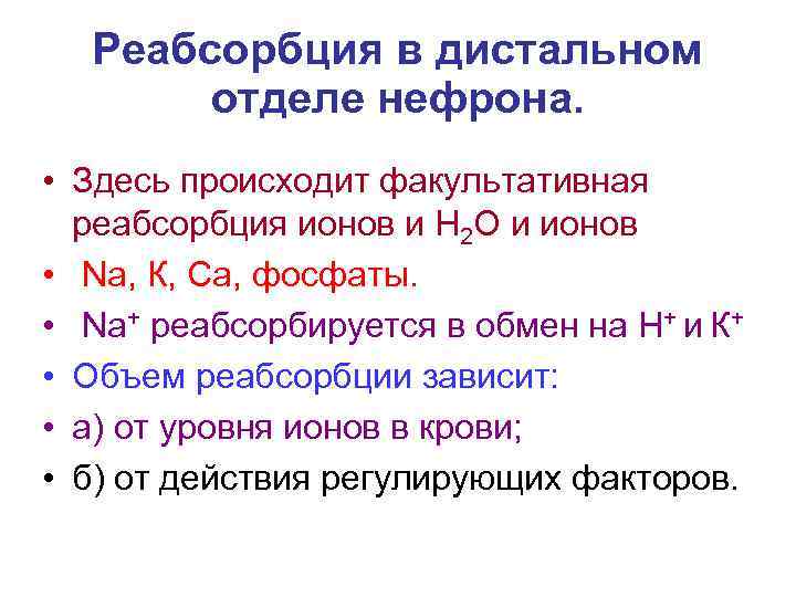Реабсорбция в дистальном отделе нефрона. • Здесь происходит факультативная реабсорбция ионов и Н 2