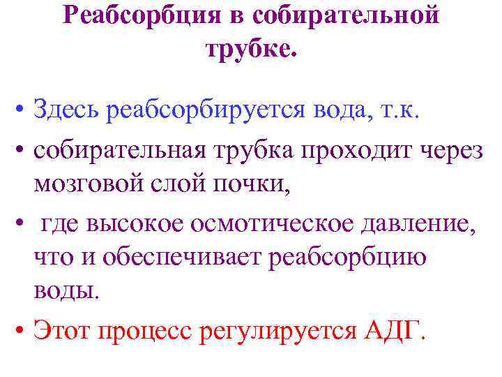 Реабсорбция в собирательной трубке. • Здесь реабсорбируется вода, т. к. • собирательная трубка проходит