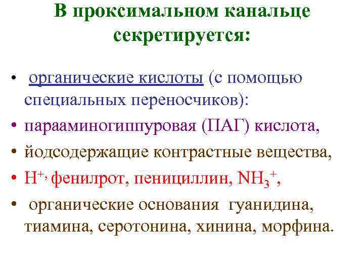 В проксимальном канальце секретируется: • органические кислоты (с помощью • • специальных переносчиков): парааминогиппуровая