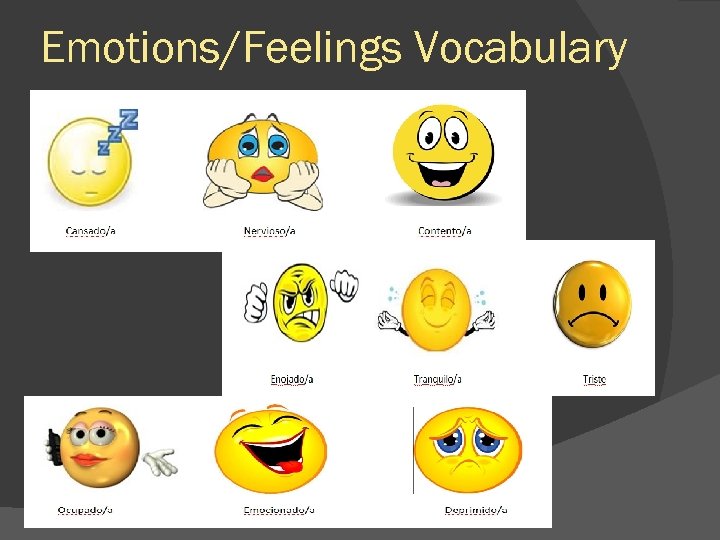 Emotions/Feelings Vocabulary 