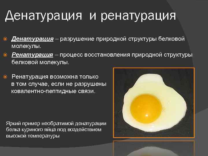 Денатурация и ренатурация Денатурация – разрушение природной структуры белковой молекулы. Ренатурация – процесс восстановления