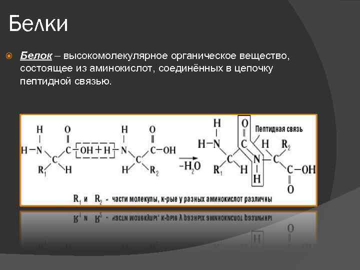 Белки Белок – высокомолекулярное органическое вещество, состоящее из аминокислот, соединённых в цепочку пептидной связью.