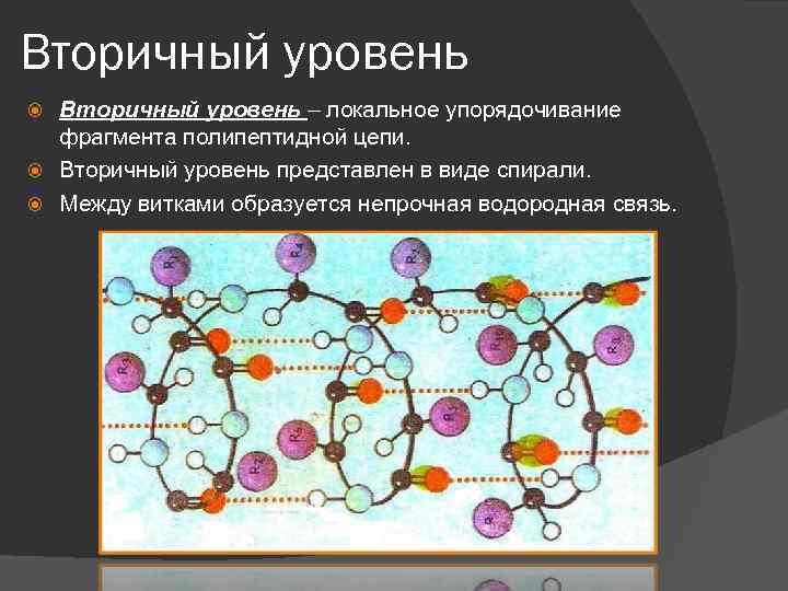 Вторичный уровень – локальное упорядочивание фрагмента полипептидной цепи. Вторичный уровень представлен в виде спирали.