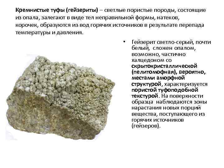 Кремнистые туфы (гейзериты) – светлые пористые породы, состоящие из опала, залегают в виде тел