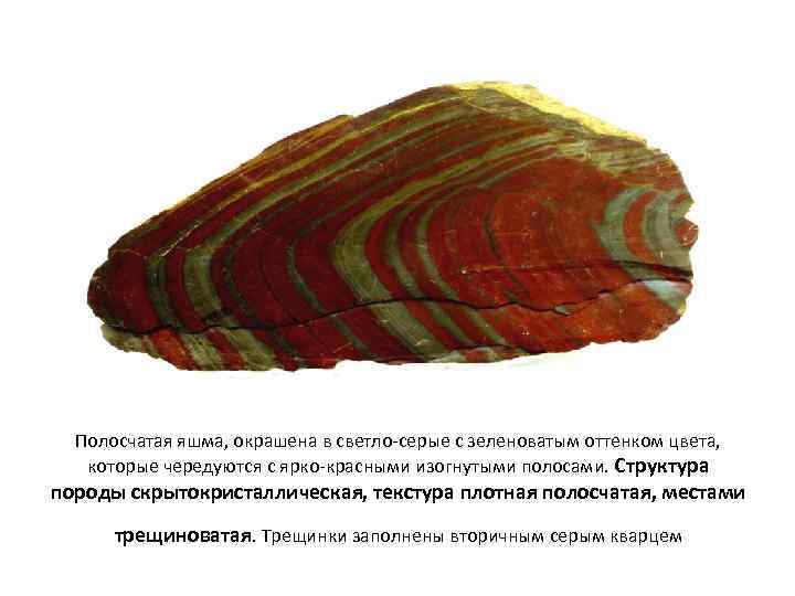 Полосчатая яшма, окрашена в светло-серые с зеленоватым оттенком цвета, которые чередуются с ярко-красными изогнутыми