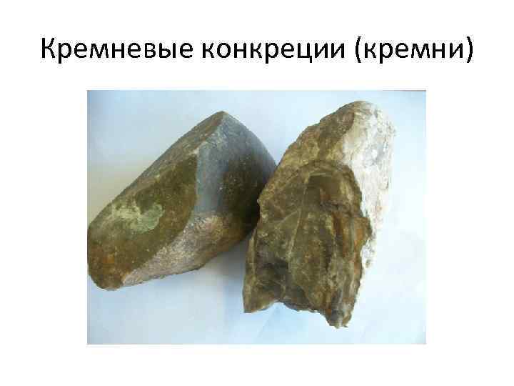 Кремневые конкреции (кремни) 