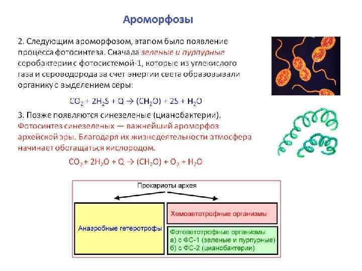 Архейская эра презентация по биологии 9 класс