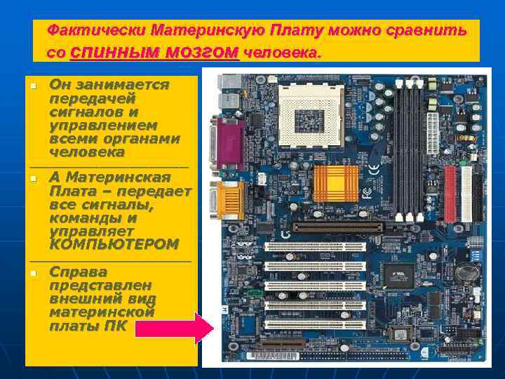 Фактически Материнскую Плату можно сравнить со спинным мозгом человека. n Он занимается передачей сигналов