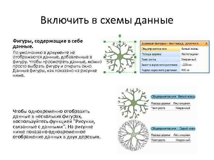 Включить в схемы данные Фигуры, содержащие в себе данные. По умолчанию в документе не