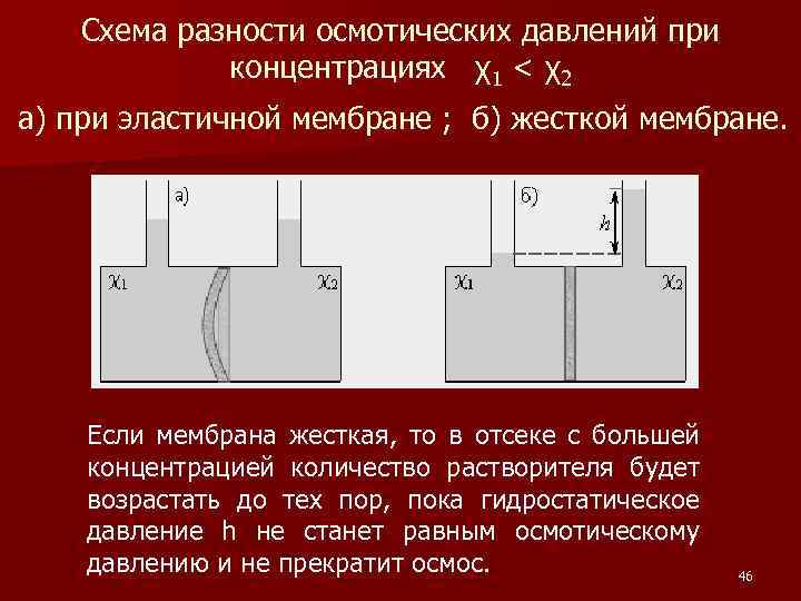 Схема разности осмотических давлений при концентрациях χ1 < χ2 а) при эластичной мембране ;