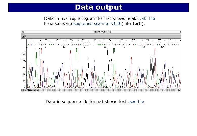 Data output Data in electropherogram format shows peaks. abi file Free software sequence scanner