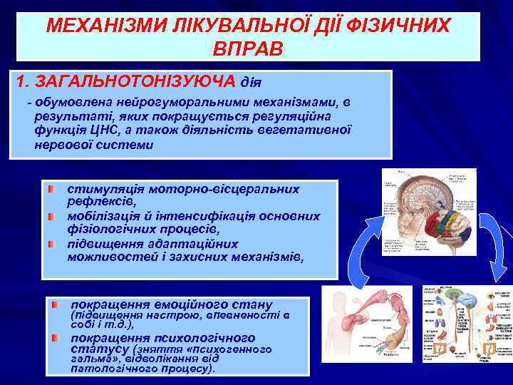 МЕХАНІЗМИ ЛІКУВАЛЬНОЇ ДІЇ ФІЗИЧНИХ ВПРАВ 1. ЗАГАЛЬНОТОНІЗУЮЧА дія - обумовлена нейрогуморальними механізмами, в результаті,
