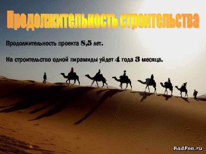 Продолжительность проекта 8, 5 лет. На строительство одной пирамиды уйдет 4 года 3 месяца.