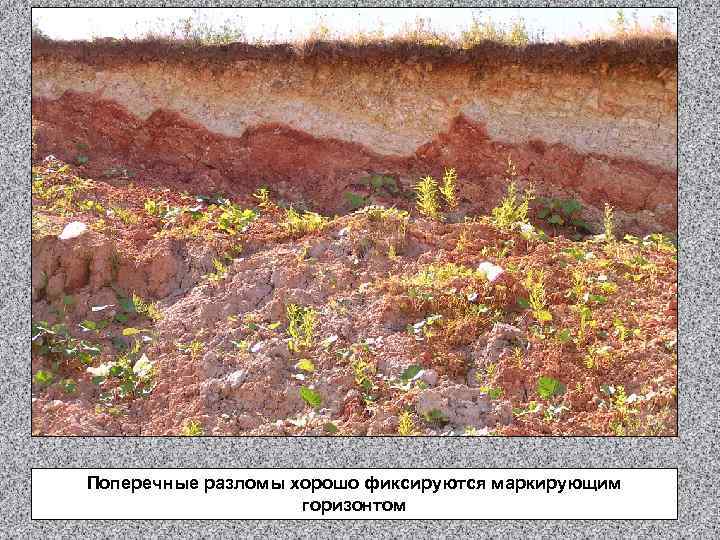 Поперечные разломы хорошо фиксируются маркирующим горизонтом 