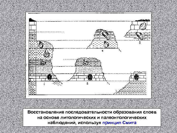 Восстановление последовательности образования слоев на основе литологических и палеонтологических наблюдений, используя принцип Смита 
