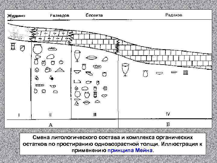 Смена литологического состава и комплекса органических остатков по простиранию одновозрастной толщи. Иллюстрация к применению