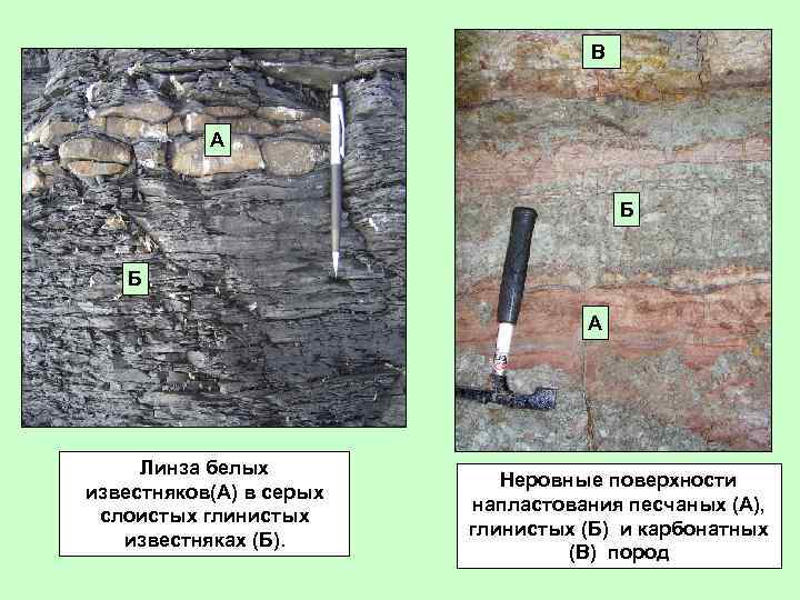 В А Б Б А Линза белых известняков(А) в серых слоистых глинистых известняках (Б).