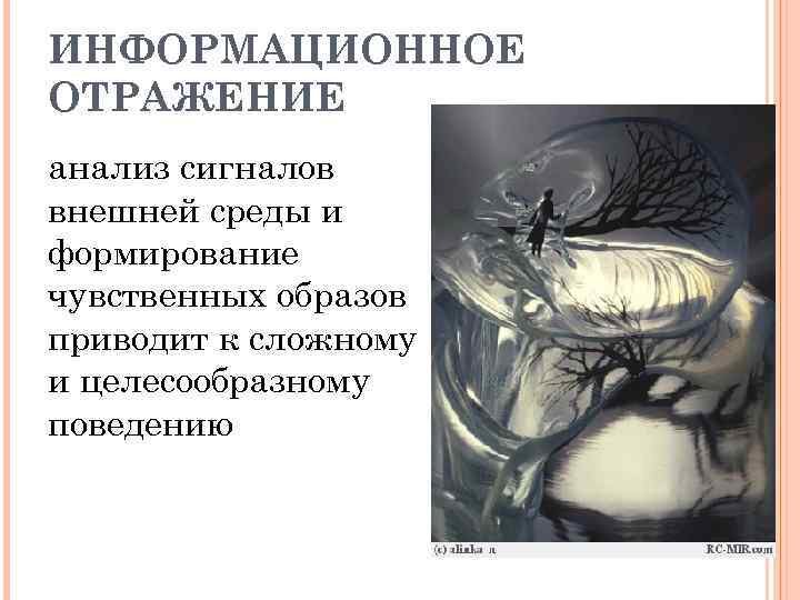 ИНФОРМАЦИОННОЕ ОТРАЖЕНИЕ анализ сигналов внешней среды и формирование чувственных образов приводит к сложному и