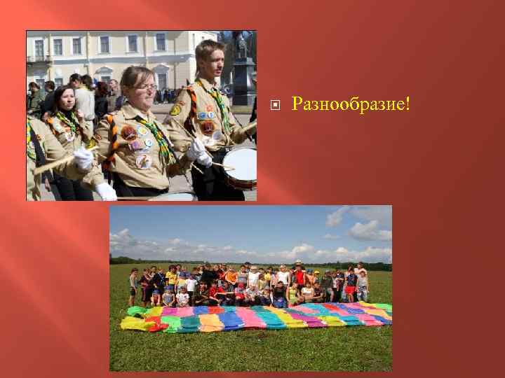  Разнообразие! 