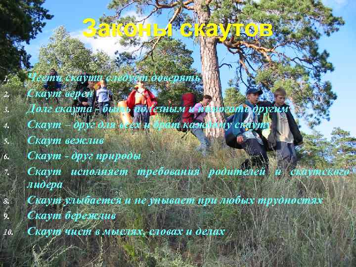 Законы скаутов 1. 2. 3. 4. 5. 6. 7. 8. 9. 10. Чести скаута