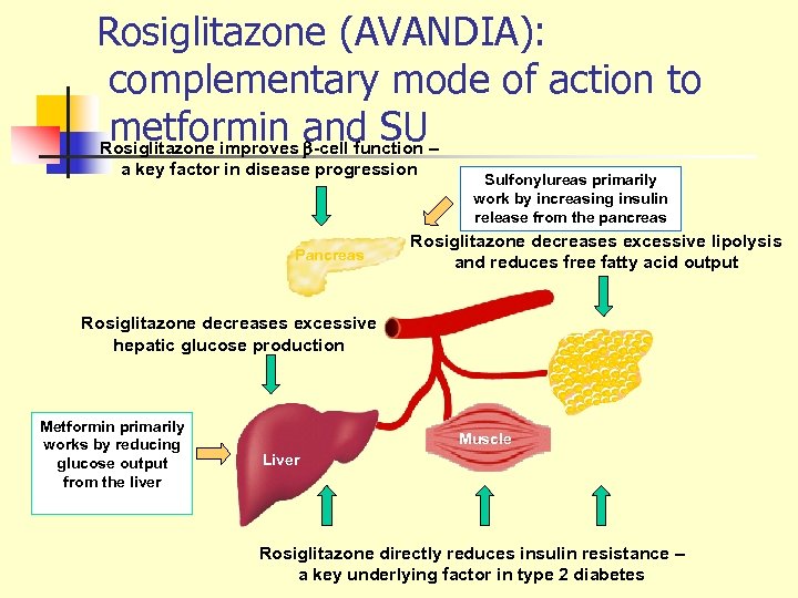Rosiglitazone (AVANDIA): complementary mode of action to metformin and SU Rosiglitazone improves b-cell function