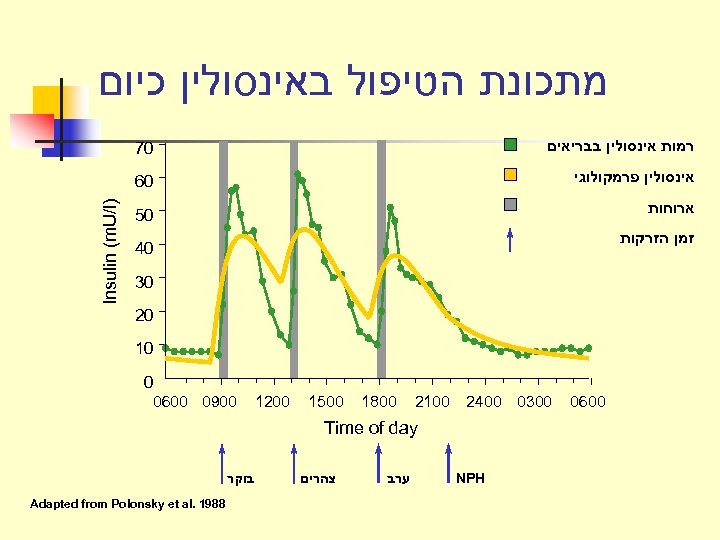  מתכונת הטיפול באינסולין כיום אינסולין פרמקולוגי 06 ארוחות 05 זמן הזרקות 04 03