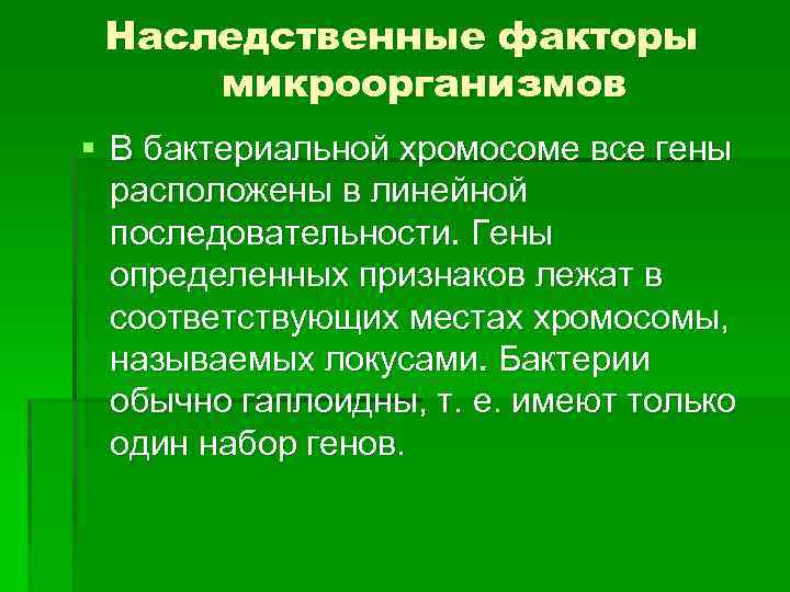 Наследственные факторы микроорганизмов § В бактериальной хромосоме все гены расположены в линейной последовательности. Гены