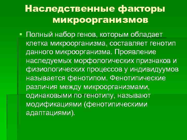 Наследственные факторы микроорганизмов § Полный набор генов, которым обладает клетка микроорганизма, составляет генотип данного