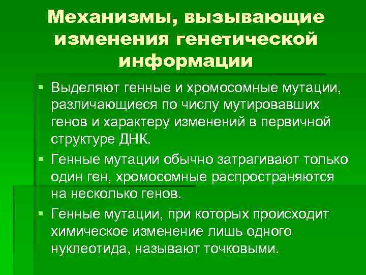 Механизмы, вызывающие изменения генетической информации § Выделяют генные и хромосомные мутации, различающиеся по числу