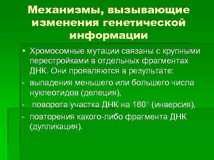 Механизмы, вызывающие изменения генетической информации § Хромосомные мутации связаны с крупными перестройками в отдельных