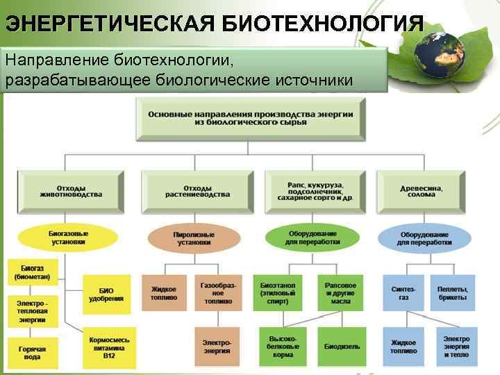 ЭНЕРГЕТИЧЕСКАЯ БИОТЕХНОЛОГИЯ Направление биотехнологии, разрабатывающее биологические источники энергии 