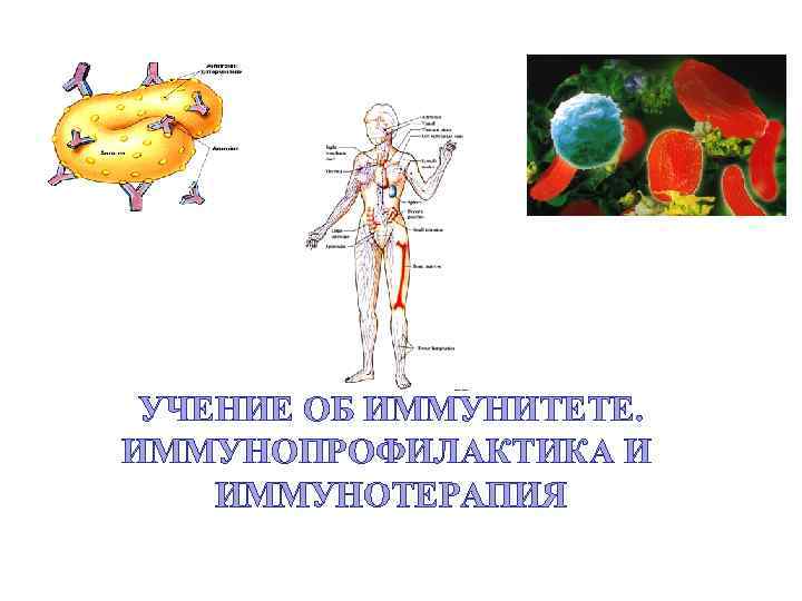 УЧЕНИЕ ОБ ИММУНИТЕТЕ. ИММУНОПРОФИЛАКТИКА И ИММУНОТЕРАПИЯ 