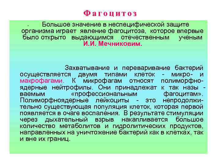 Фагоцитоз Большое значение в неспецифической защите организма играет явление фагоцитоза, которое впервые было открыто
