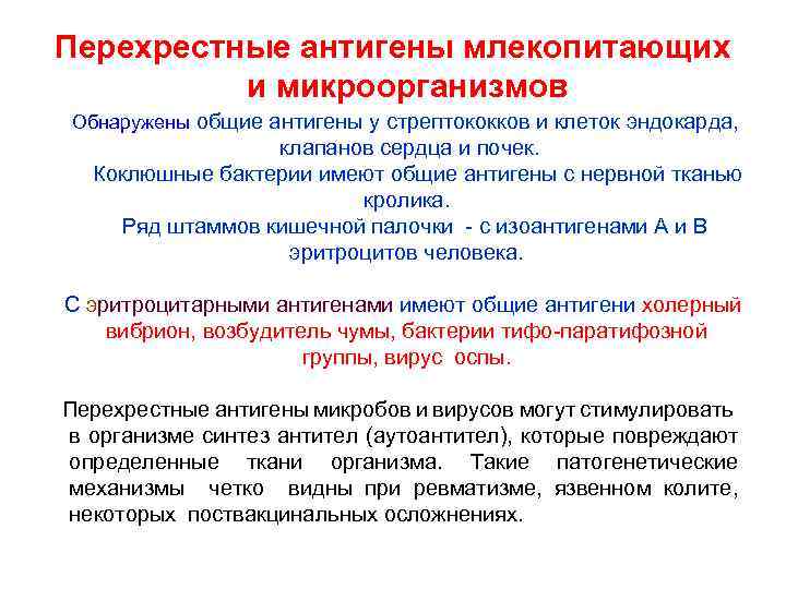 Перехрестные антигены млекопитающих и микроорганизмов Обнаружены общие антигены у стрептококков и клеток эндокарда, клапанов