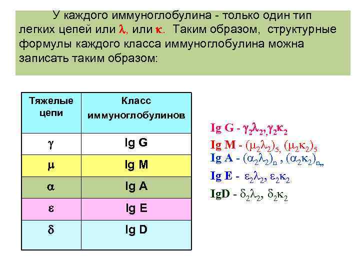 У каждого иммуноглобулина - только один тип легких цепей или , или . Таким