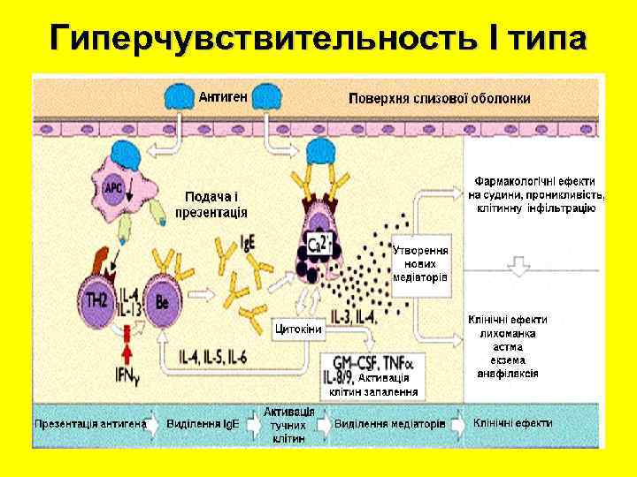 Гиперчувствительность І типа 