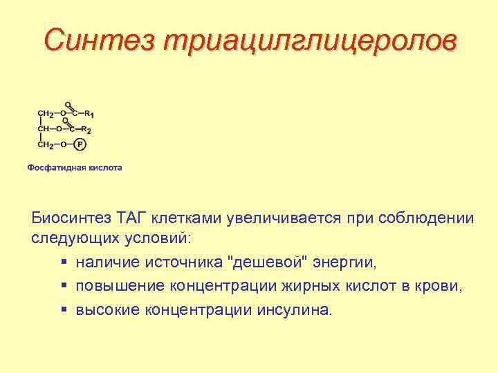 Синтез триацилглицеролов Биосинтез ТАГ клетками увеличивается при соблюдении следующих условий: § наличие источника "дешевой"