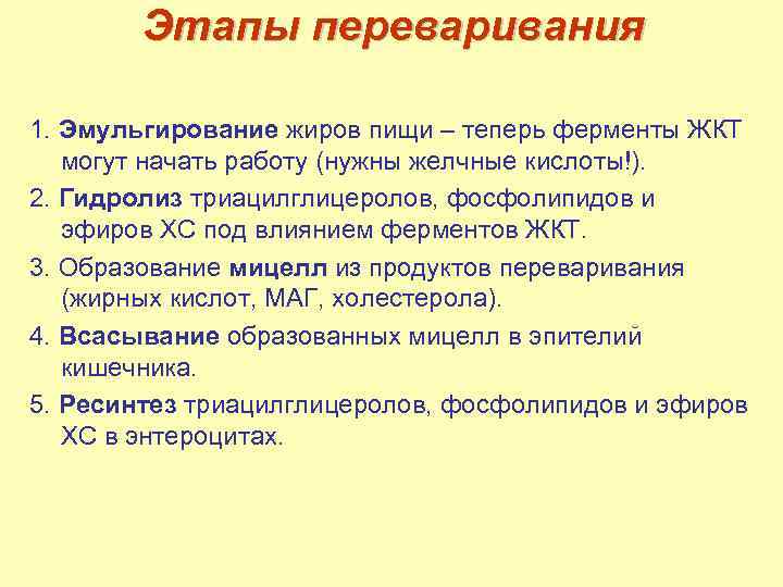 Этапы переваривания 1. Эмульгирование жиров пищи – теперь ферменты ЖКТ могут начать работу (нужны