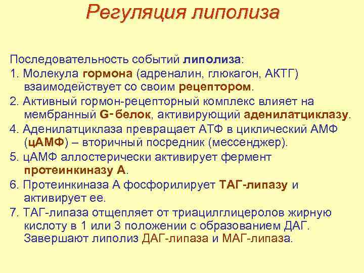 Регуляция липолиза Последовательность событий липолиза: 1. Молекула гормона (адреналин, глюкагон, АКТГ) взаимодействует со своим