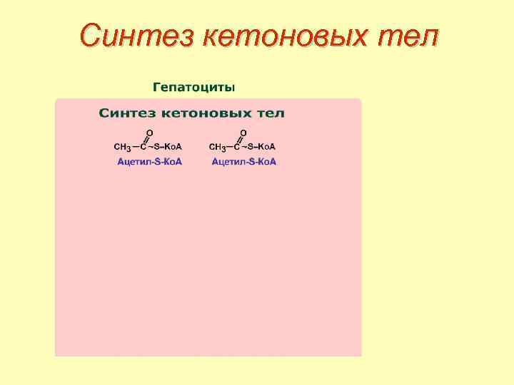 Синтез кетоновых тел 